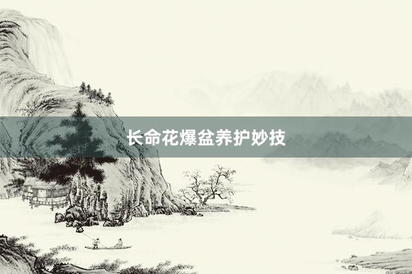 长命花爆盆养护妙技