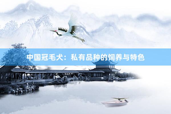 中国冠毛犬：私有品种的饲养与特色