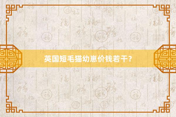 英国短毛猫幼崽价钱若干？