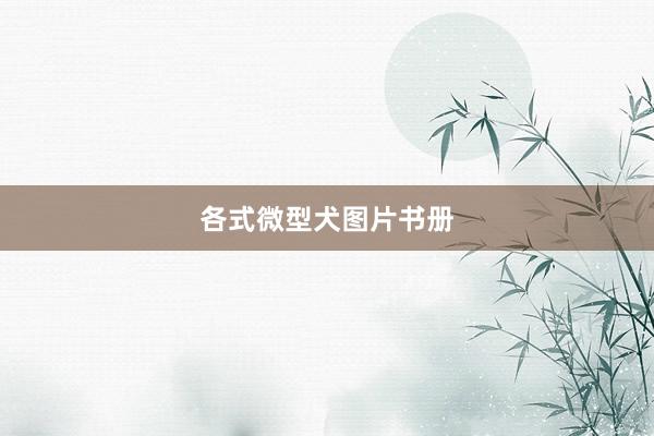 各式微型犬图片书册